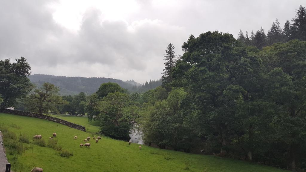 Bod Gwynedd Bed And Breakfast Betws-y-Coed Extérieur photo
