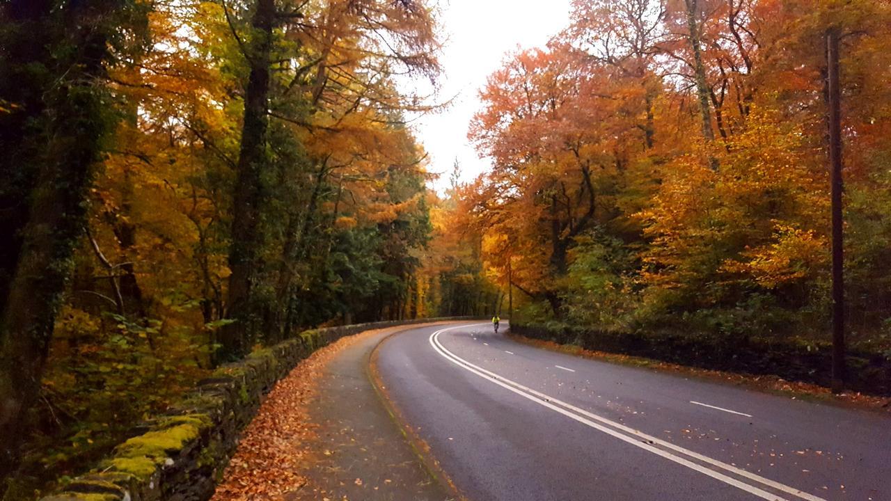 Bod Gwynedd Bed And Breakfast Betws-y-Coed Extérieur photo